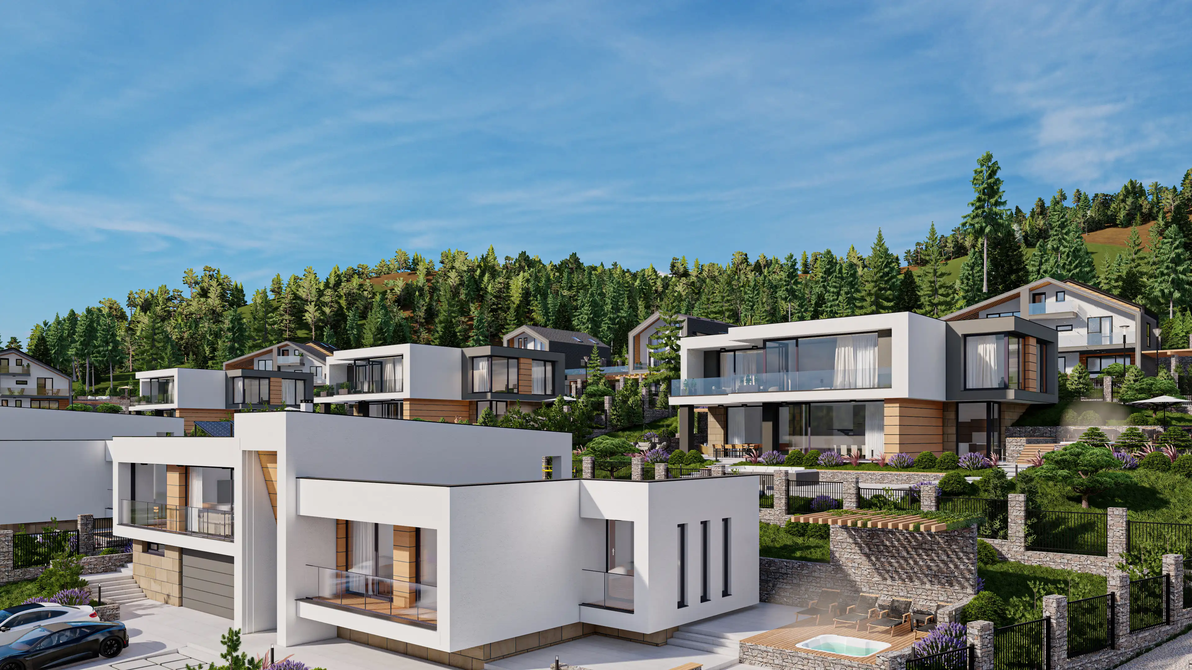 Проект снимка